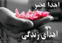 اهدای اعضای بیمار مرگ مغزی در مشهد