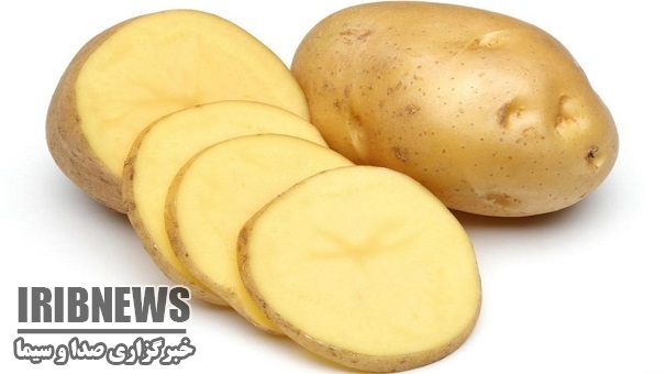 صادرات 500 تن محصول سالم از زنجان به اروپا وآسیا