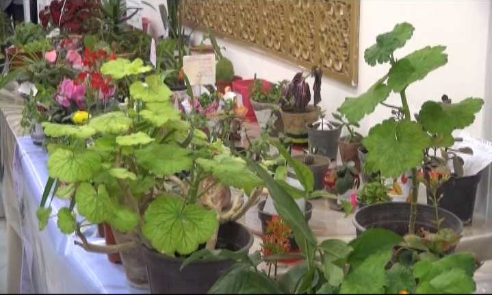 جشن گلدان فردوس برای بیماران نیازمندان