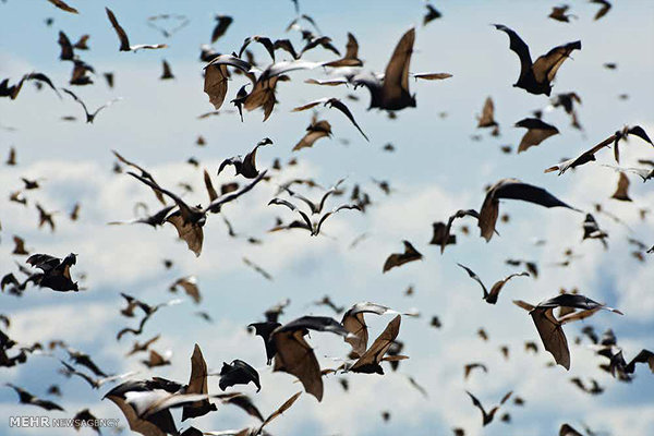 معروف‌ترین دروغ‌هایی که فکر می‌کنیم حقیقت دارد!