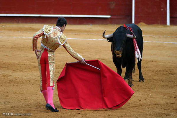 معروف‌ترین دروغ‌هایی که فکر می‌کنیم حقیقت دارد!