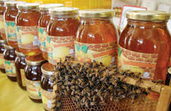 نگاهی به گوشه و کنار استان