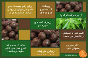 خواص شگفت انگیز کرچک