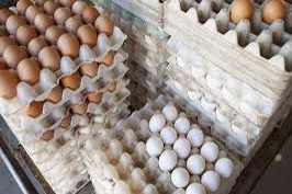 کشف و توقیف تخم مرغ بدون مجوز بهداشتی
