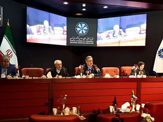 فعال شدن بخش خصوصی لازمه حرکت اقتصاد