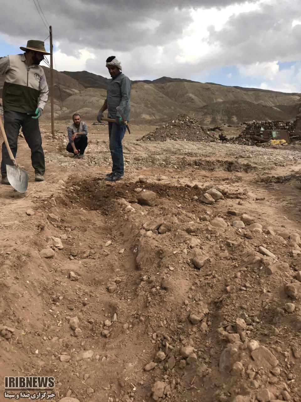 آغاز فعالیت گروههای جهادی نوروزی