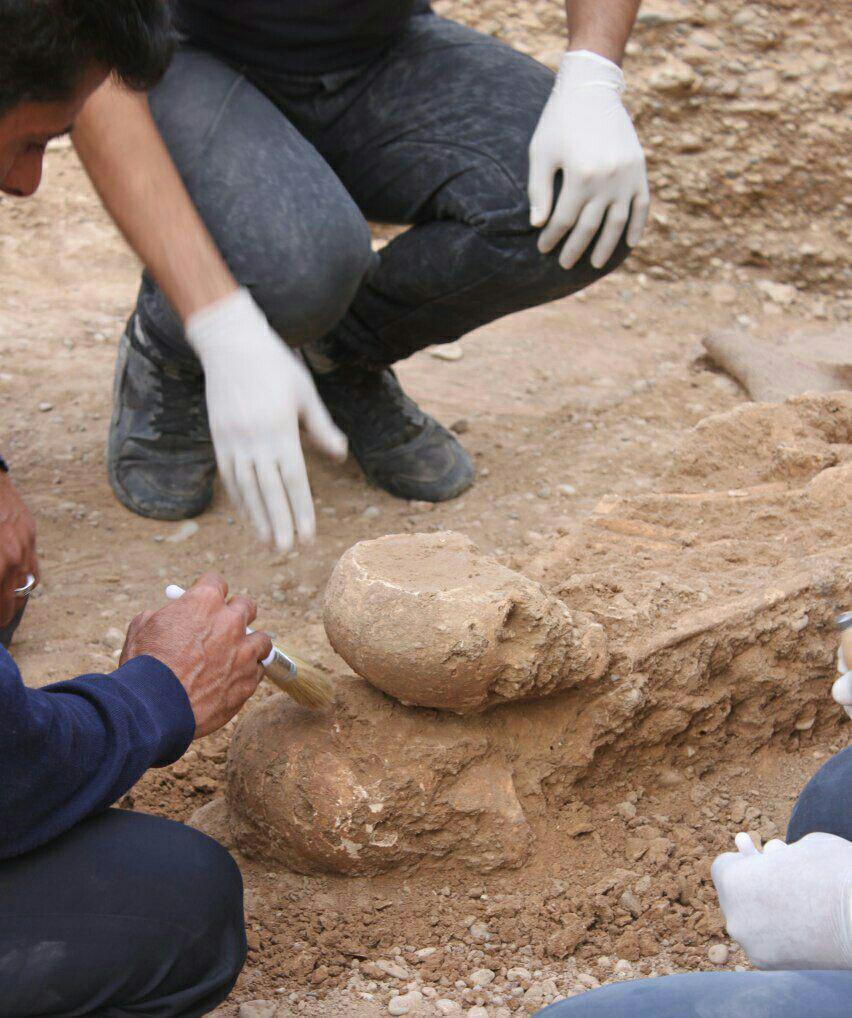 اسکلتهای مکشوف در محوطه تاریخی اندیمشک ، نشان دهنده ی سبک زندگی در سده های پایانی هزاره اول اسکلتهای مکشوف در محوطه تاریخی اندیمشک ، نشان دهنده ی سبک زندگی در سده های پایانی هزاره اول