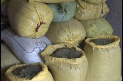 کشف اویشن قاچاق کشف اویشن قاچاق