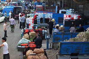افزایش 20 درصدی قیمت پیاز افزایش 20 درصدی قیمت پیاز