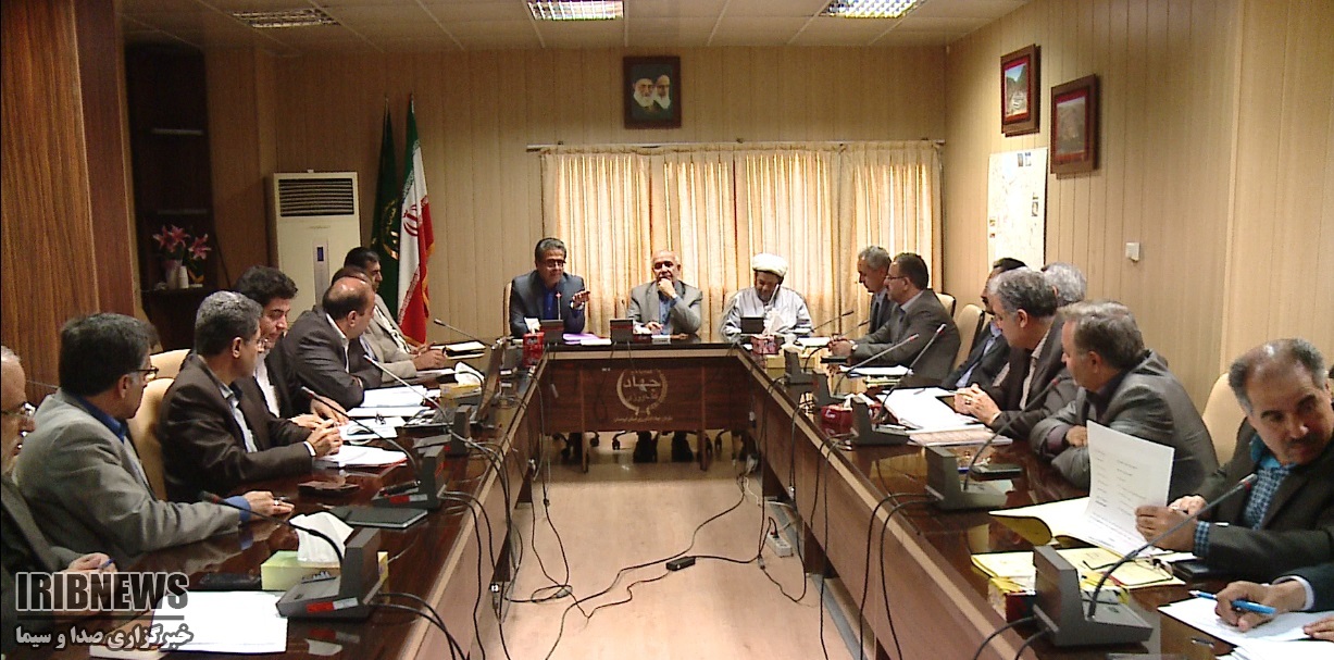 اختصاص 48 میلیارد تومان برای توسعه باغات دیم در اراضی شیب دار