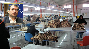 اختصاص ۱۰ هزار میلیارد تومان برای نوسازی واحدهای تولیدی