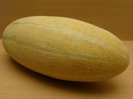 اجرای مدیریت تلفیقی در رمینهای زیر کشت خربزه در خراسان رضوی