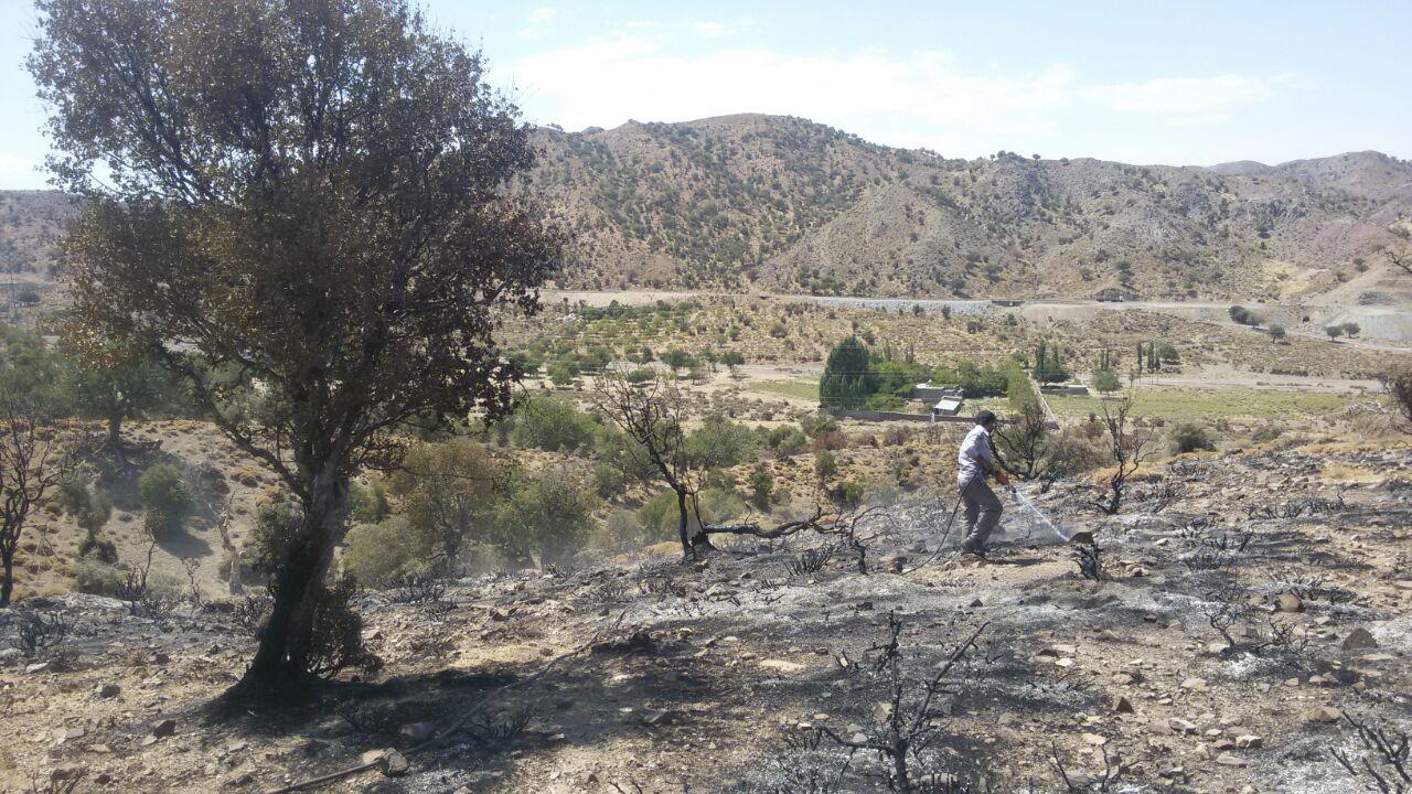 آتش در منابع طبیعی شهرستان بم آتش در منابع طبیعی شهرستان بم