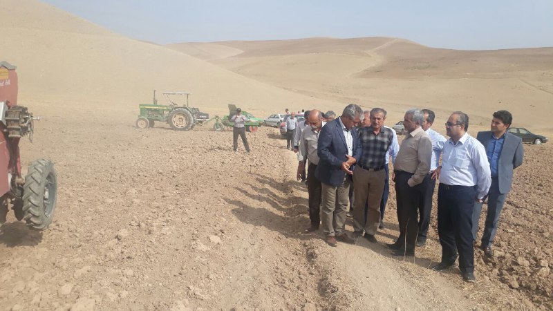 آغاز کشت پاییزه در آذربایجان غربی