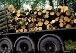 کشف چهار تن چوب جنگلی قاچاق در جاده خلخال ، اسالم