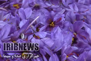 مهمترین رویداد های خبری شهرستان ها