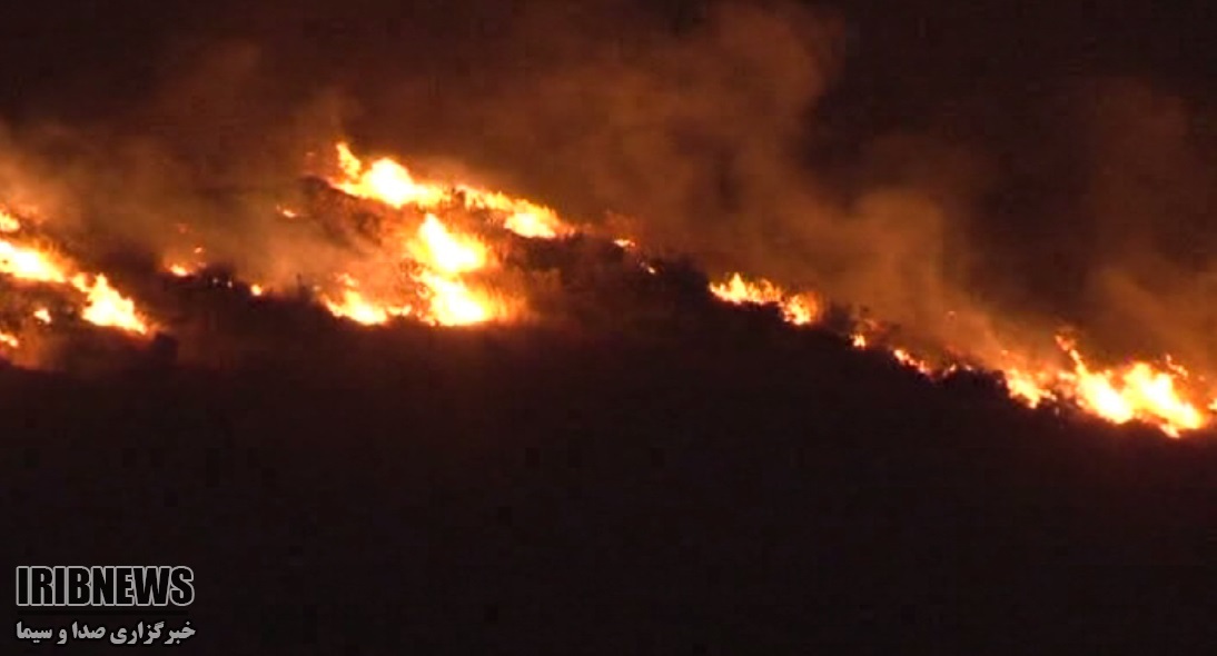کاهش ۷۰ درصدی آتش سوزی در مراتع و جنگلهای کُردستان کاهش ۷۰ درصدی آتش سوزی در مراتع و جنگلهای کُردستان
