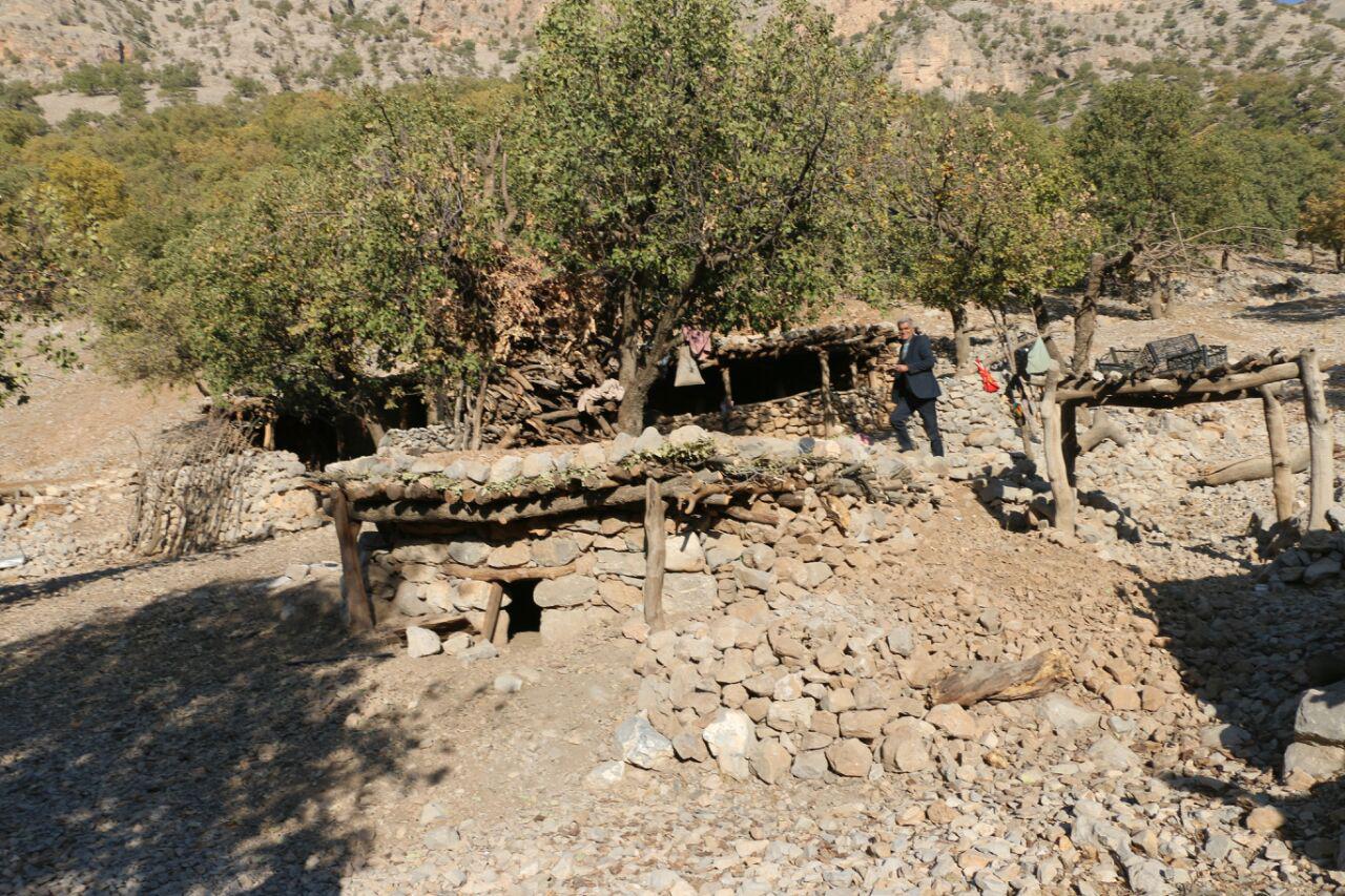 احمد فداله منطقه ای در آن سوی محرومیت ها