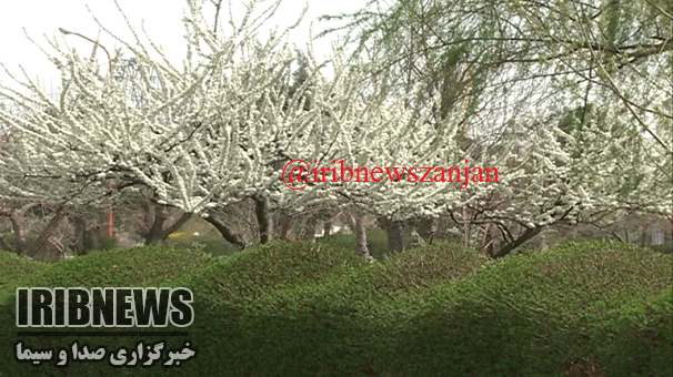 آغازبارش باران ازعصر امروز در زنجان