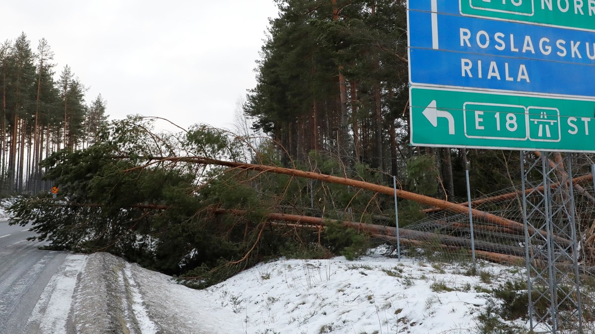 قطع برق و تلفن دهها هزار مشترک در سوئد