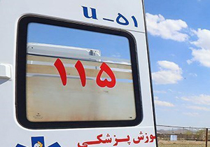 تولد دوقلوهای لردگانی در آمبولانس تولد دوقلوهای لردگانی در آمبولانس