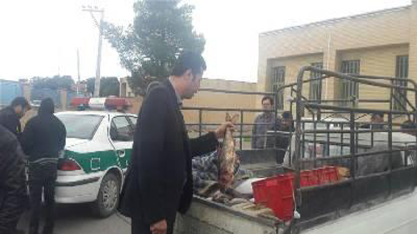 کشف 200کیلوگرم انواع ماهی غیر قابل مصرف