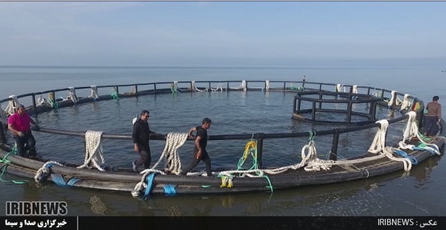 صنعت آبزی پروری گیلان 4 دهه روی دور تولید