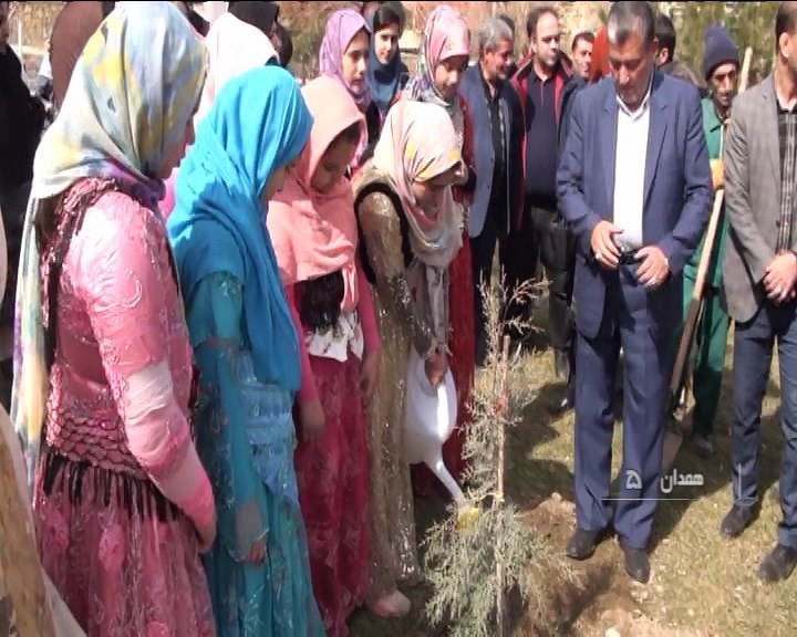 درختکاری در بوستان ترافیک همدان