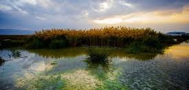 تخفیف ویژه هزینه اقامت مسافران نوروزی در استان مرکزی