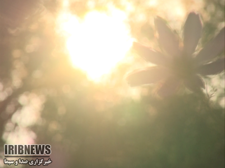 خودنمایی تابستان در استان با گرمای 40 درجه خودنمایی تابستان در استان با گرمای 40 درجه
