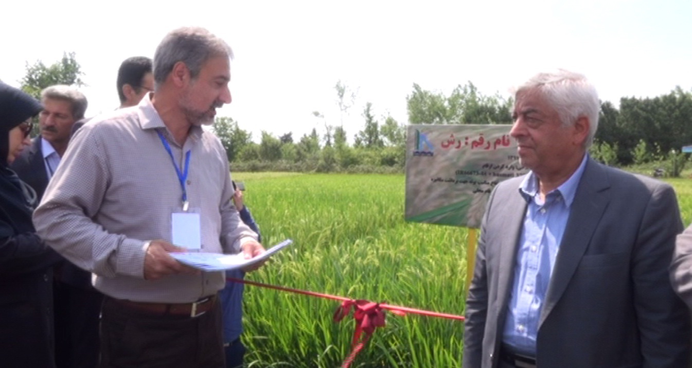 رشت میزبان نخستین جشنواره روز ملی مزرعه رشت میزبان نخستین جشنواره روز ملی مزرعه