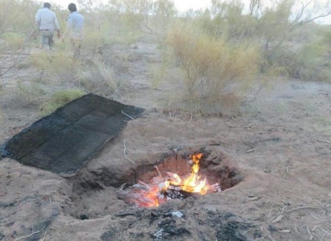 دستگیری قطع کننده درختان تاغ در سبزوار