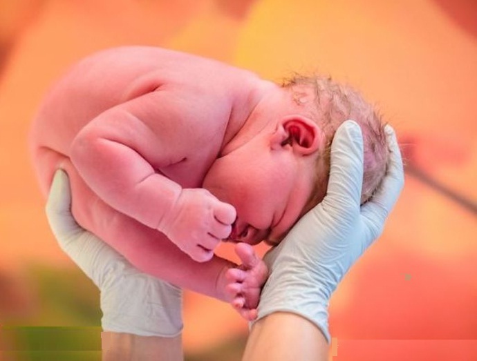 تولد8466 نوزادچهارمحال و بختیاری