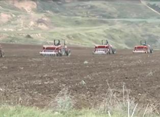 افزایش 100 درصدی کشت مکانیزه کلزا در گلوگاه