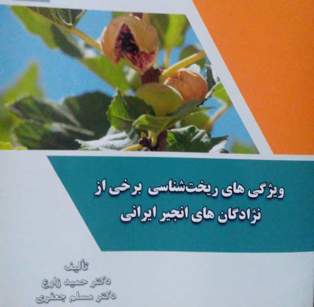انتشار کتاب ویژگی ریخت شناسی انجیر ایرانی انتشار کتاب ویژگی ریخت شناسی انجیر ایرانی
