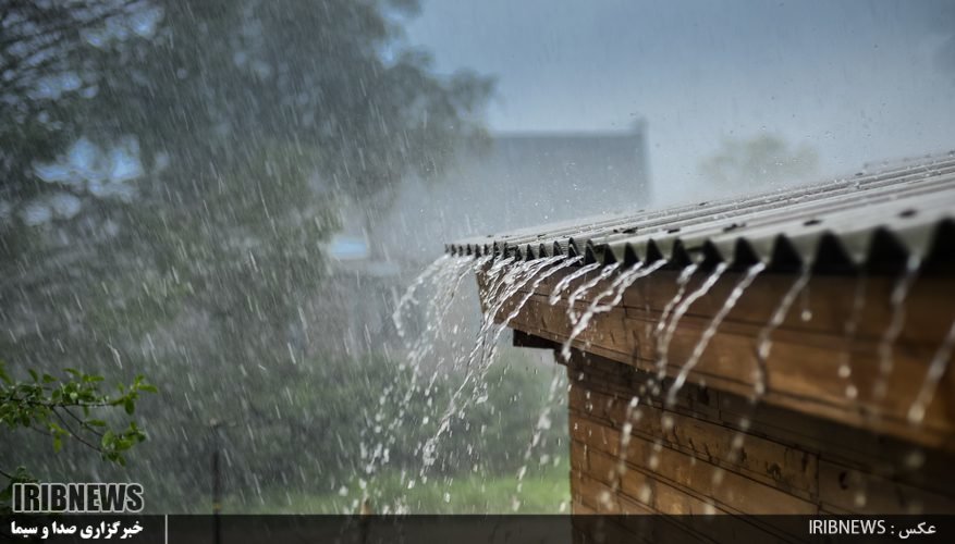 باز اگر باران ببارد سیل وار ؟ !