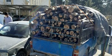کشف سه تن چوب قاچاق در محور گچساران باشت