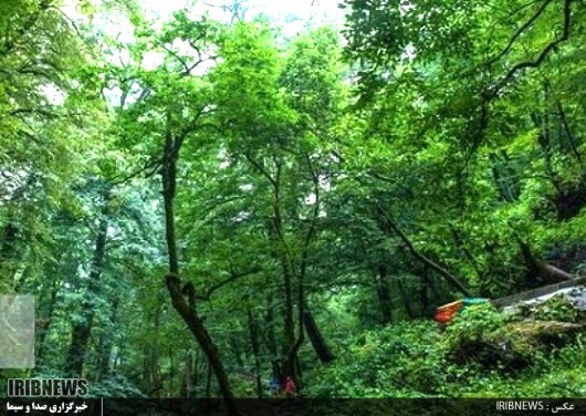 عمرت دراز ، ای با شکوهِ سبز فام ِهیرکان عمرت دراز ، ای با شکوهِ سبز فام ِهیرکان