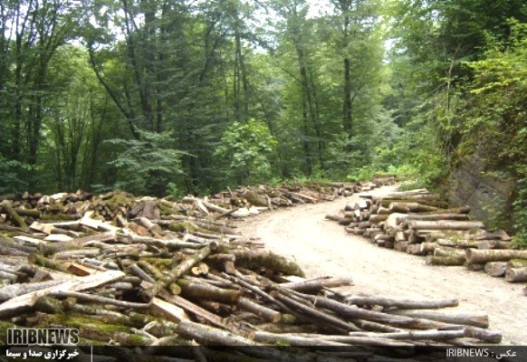 عمرت دراز ، ای با شکوهِ سبز فام ِهیرکان عمرت دراز ، ای با شکوهِ سبز فام ِهیرکان