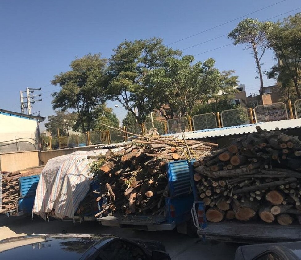 کشف و ضبط ۴۰ تن چوب قاچاق امسال در مهاباد