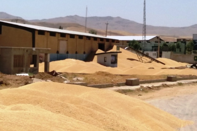 پلمپ ۲ انبار احتکار گندم و جو در مرودشت پلمپ ۲ انبار احتکار گندم و جو در مرودشت