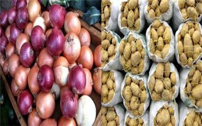 پایان برداشت سیب زمینی و پیاز در دامغان