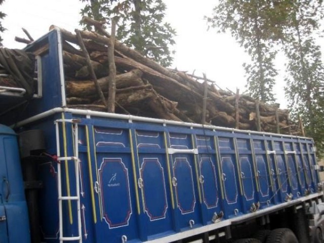 توقیف کامیون با ۳ تن چوب قاچاق در محور گچساران-بهبهان