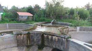 برداشت بیش از 3 هزار تن ماهی پرورشی در تالش