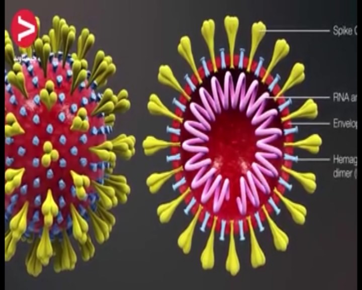 بی توجهی مردم، تشدید کننده شیوع کرونا
