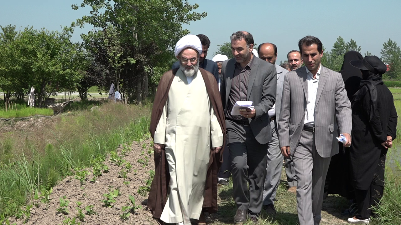 بازدید نماینده ولی فقیه در گیلان از روند کشت ماشینی برنج