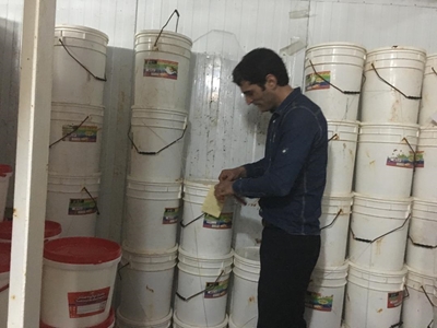 توقیف پنیر‌های غیربهداشتی در گیلان