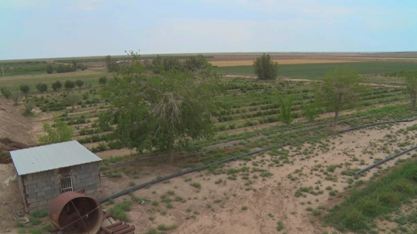 حاج حیدر کیمیاگری که خاک کویر را به زر تبدیل کرد.