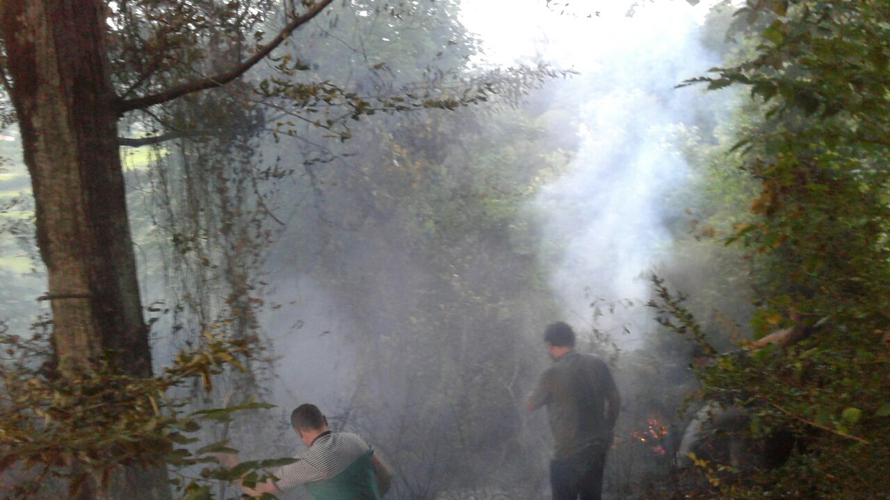 آتش سوزی در جنگل اسالم آتش سوزی در جنگل اسالم