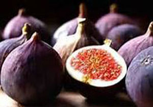 تولید ۷۰ درصد انجیر مازندران در گلوگاه